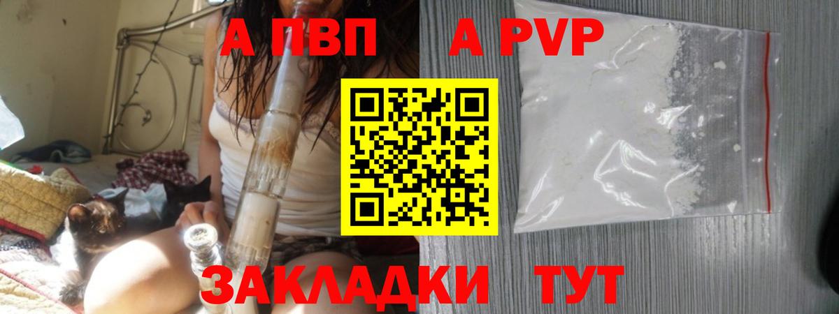Alfa_PVP СК Луга