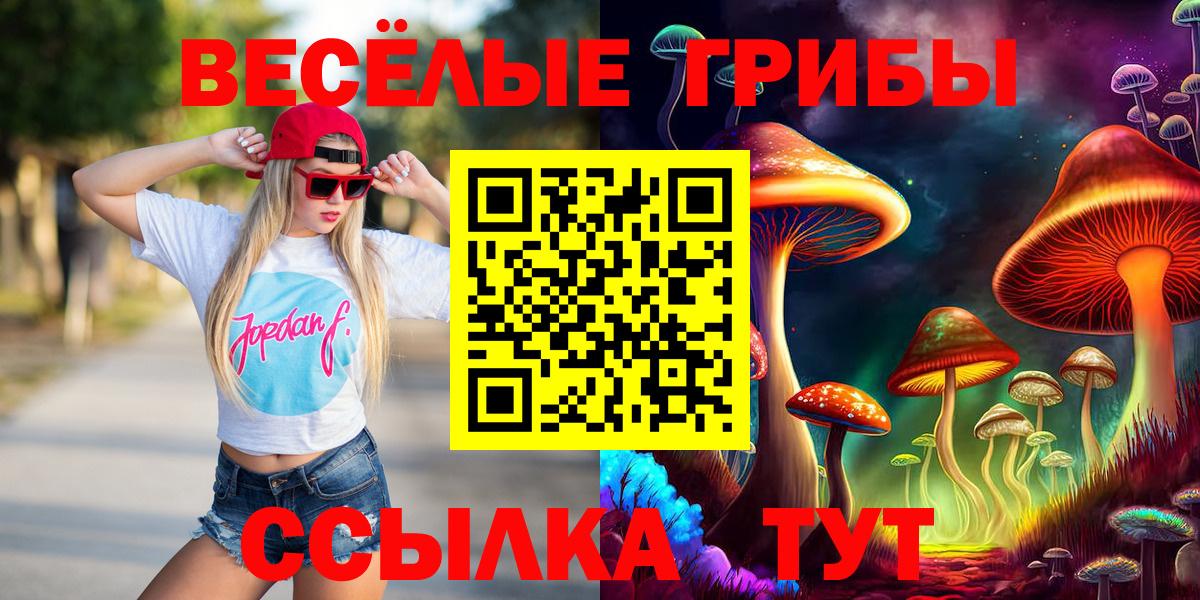 Галлюциногенные грибы прущие грибы  Вход с VPN  Луга 