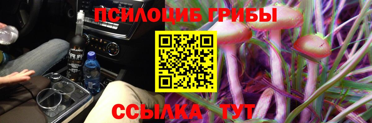 Псилоцибиновые грибы Psilocybine cubensis Луга